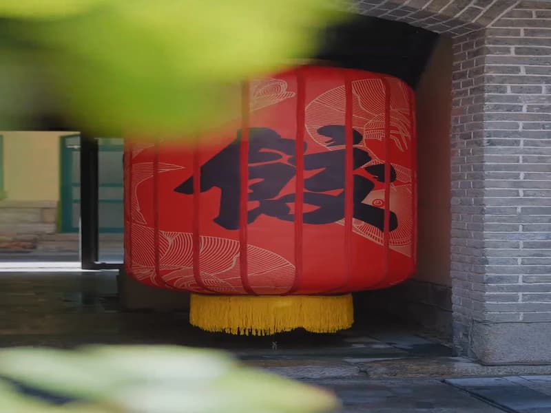 임가륜 도우인 먹방 브이로그