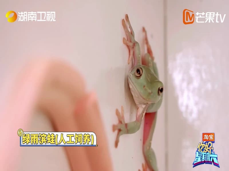 [260314] 안녕토요일 cut 3