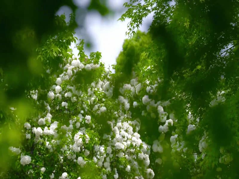 [260324] 공설아 웨이보
