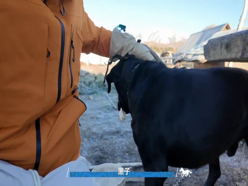 [260326] 임호 vlog 영상