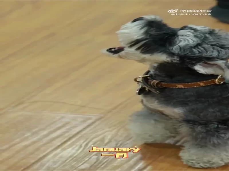 [260327] 류우녕 공작실 웨이보업