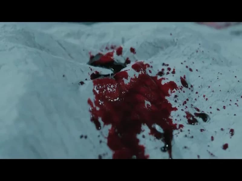 [260331] 빙호중생 트레일러