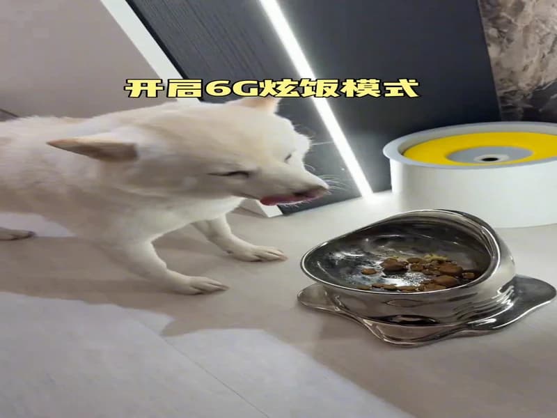 양겐 더우인(승뢰편)
