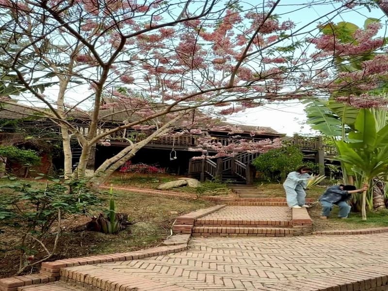 [260424] 서약함 도우인