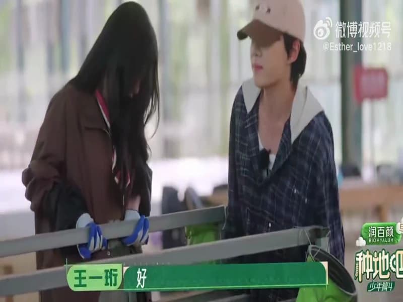 찬여번성 예능 트레일러