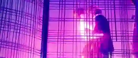 명불허전 트레일러