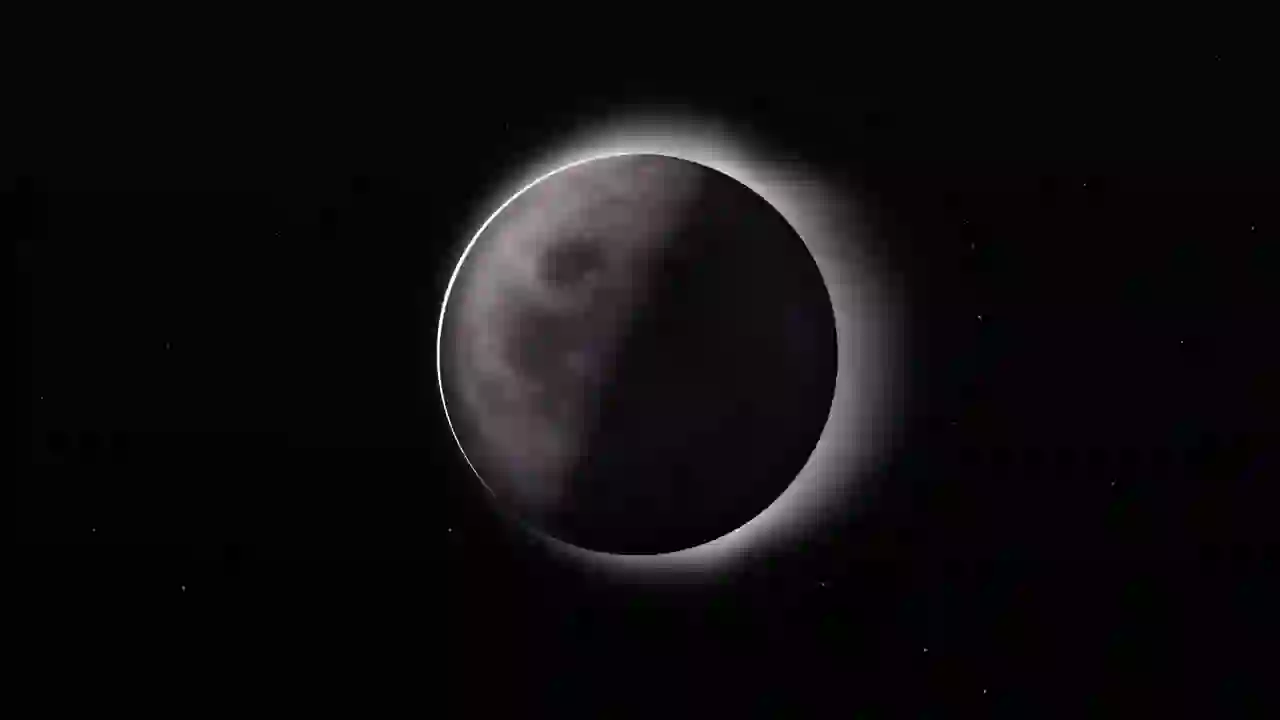 백야파효 트레일러