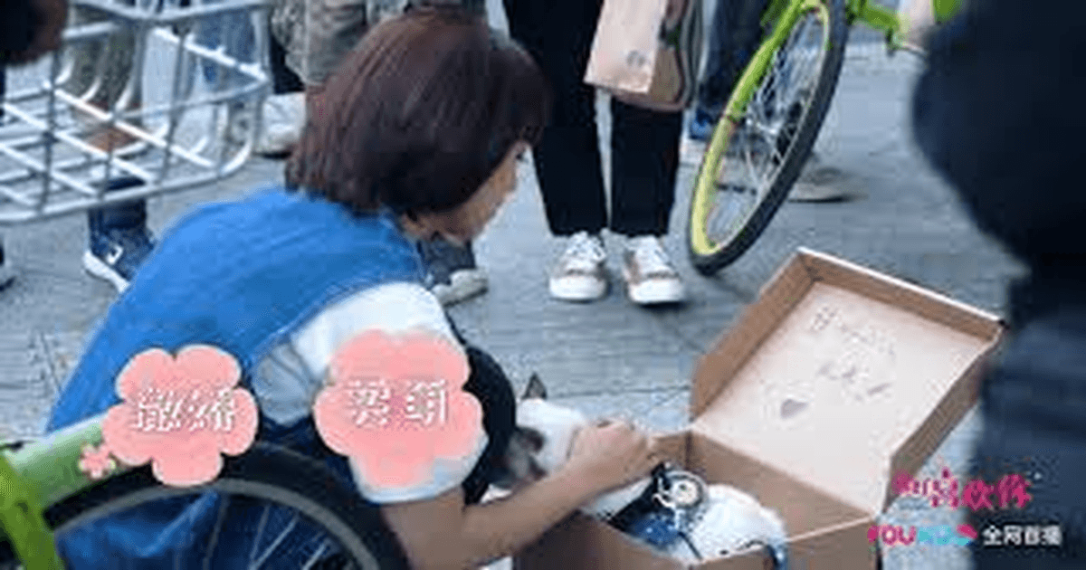 아호희환니 트레일러 썸네일