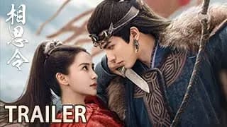 상사령 기본정보