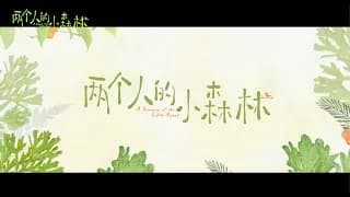 량개인적소삼림 트레일러