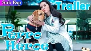 신견소칠 하이라이트