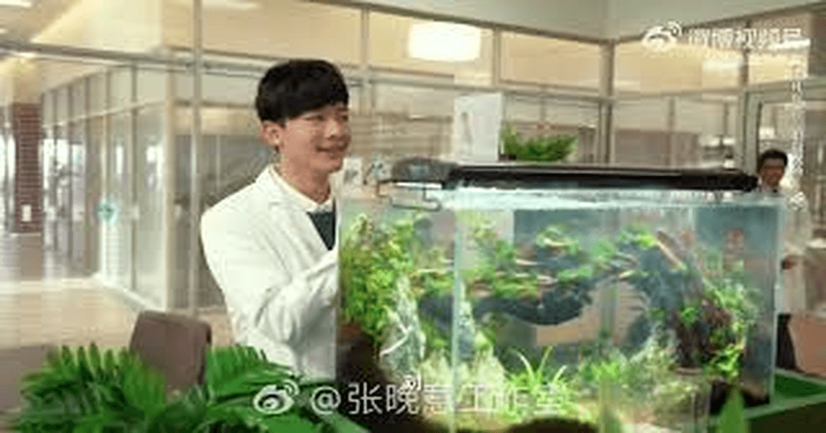 중드추천 비범의자 장완이X강패요, 비하인드 노고 썸네일