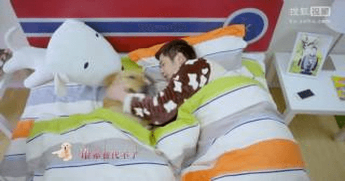 중드추천 신견소칠 금세가X곽병정, 포근 비하인드 썸네일