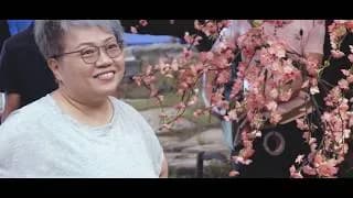 신석연 비하인드