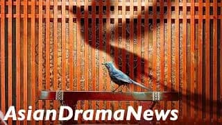 제2차초견 리뷰