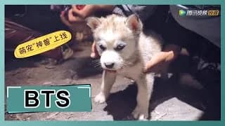 차청봉명 비하인드