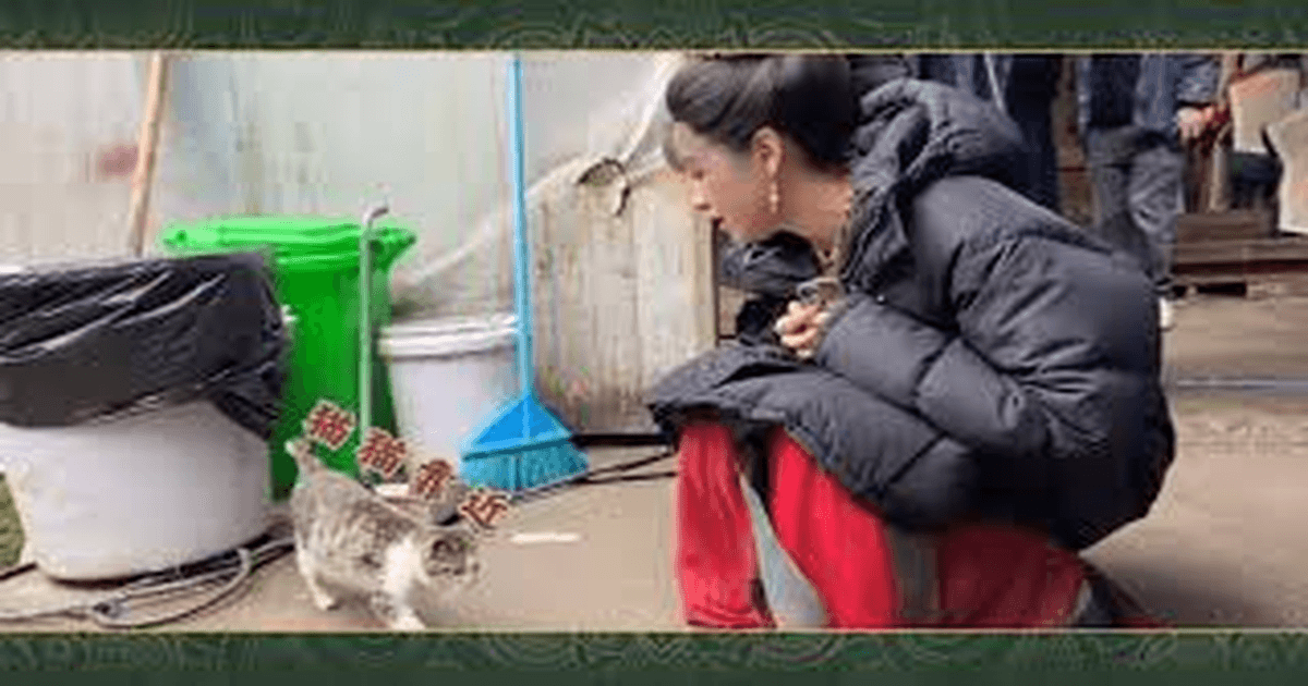 중드 풍기낙양 황헌X왕이보, 로맨스 스릴러 썸네일