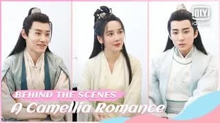 허순순적다화운 비하인드